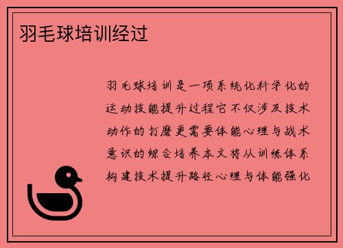 羽毛球培训经过